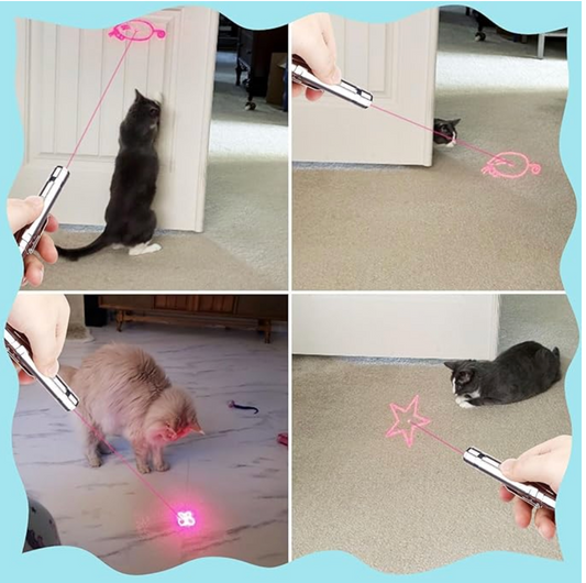 Cat laser
