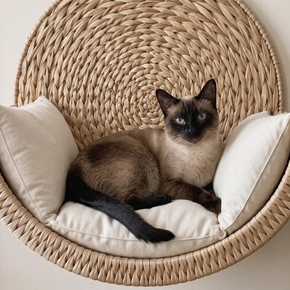 ClawCraft - Cat Wall-Mounted Bed