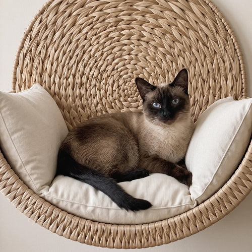 ClawCraft - Cat Wall-Mounted Bed